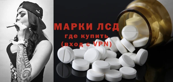 шишки Алзамай