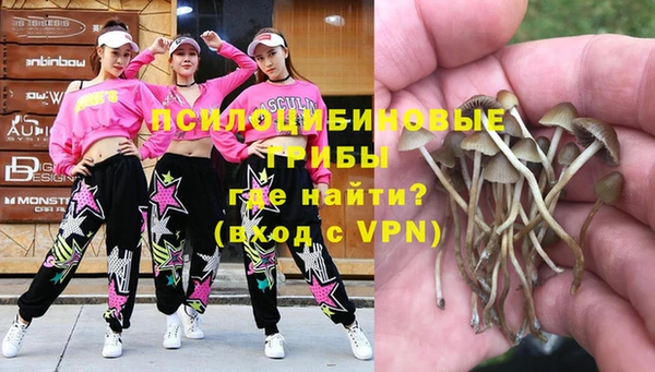шишки Алзамай
