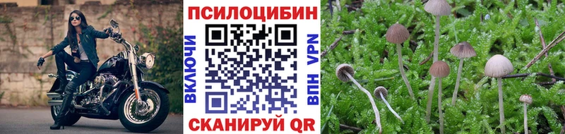 наркотики  Дмитриев  Галлюциногенные грибы MAGIC MUSHROOMS 