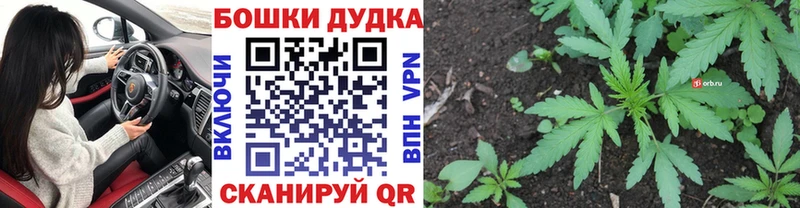 закладка  Дмитриев  Канабис LSD WEED 